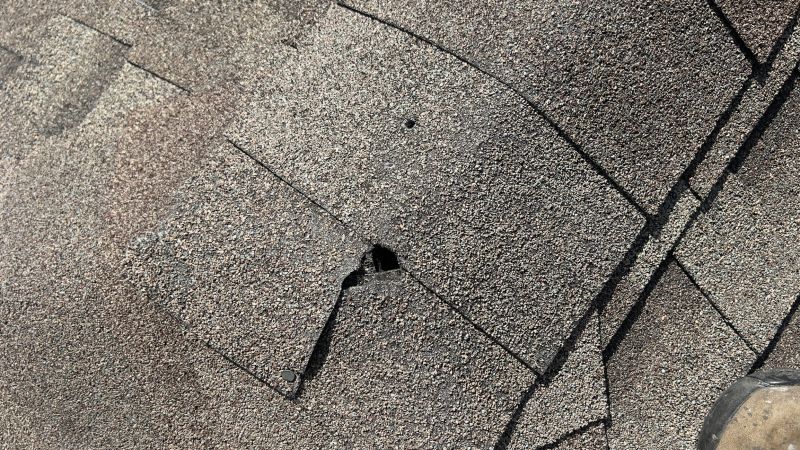 Local Asphalt Shingles Repair in Evansville, IN