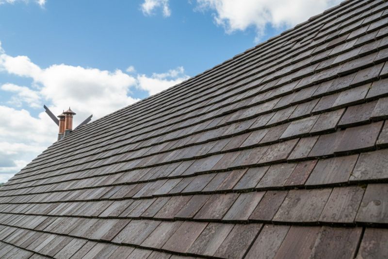 Local Cedar Shake Roof Construction in Laguna Hills, CA