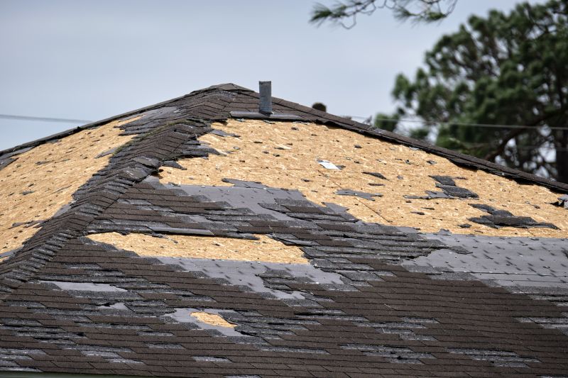 Local Damaged Roof Repair in Clearwater, FL