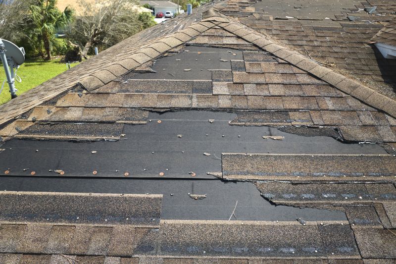 Local Hail Damage Roof Repair in Valrico, FL