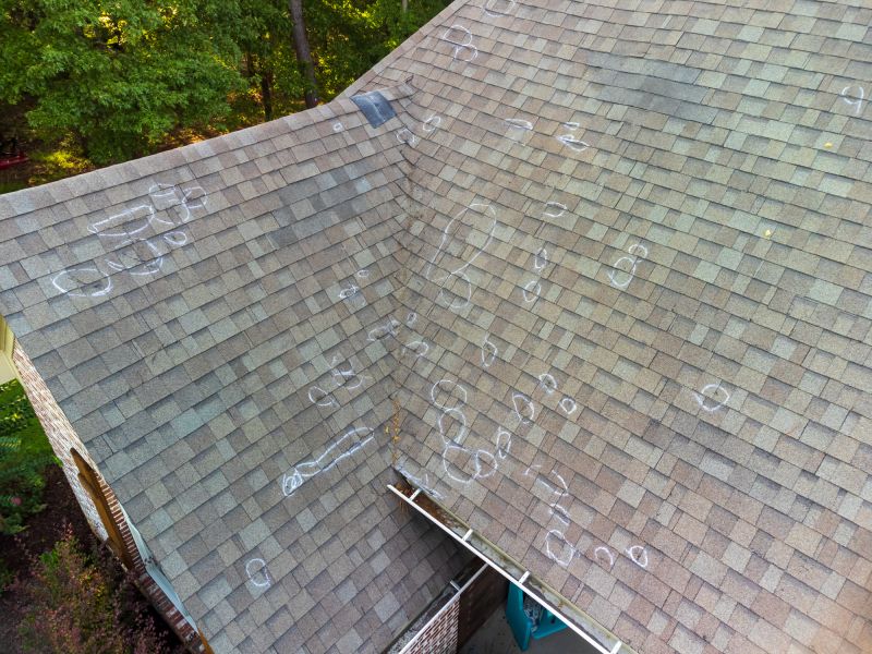 Local Roof Damage Inspection in Vidor, TX