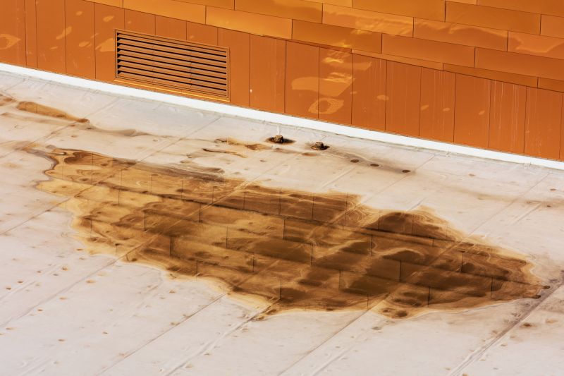 Local Roof Leak Detection Service in Carmel, CA
