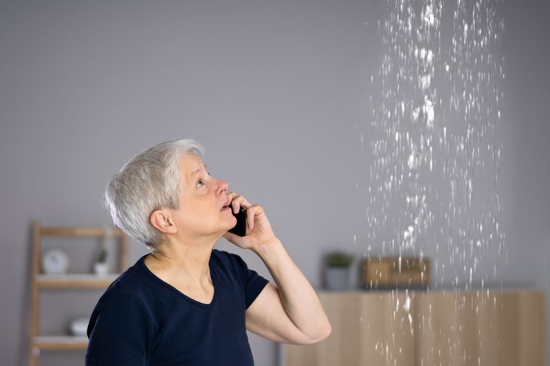 Local Roof Leak Detection Service in Commerce Township, MI