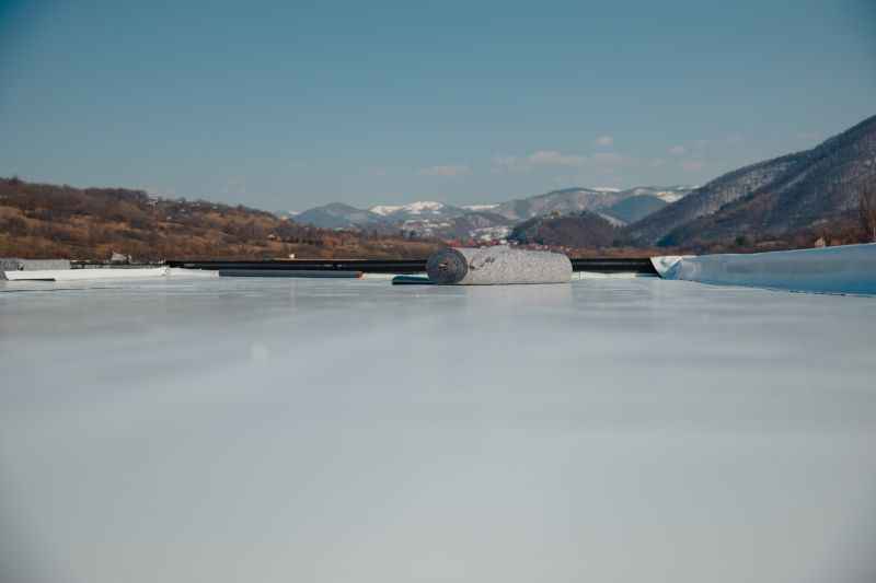 Tpo Roof Repair