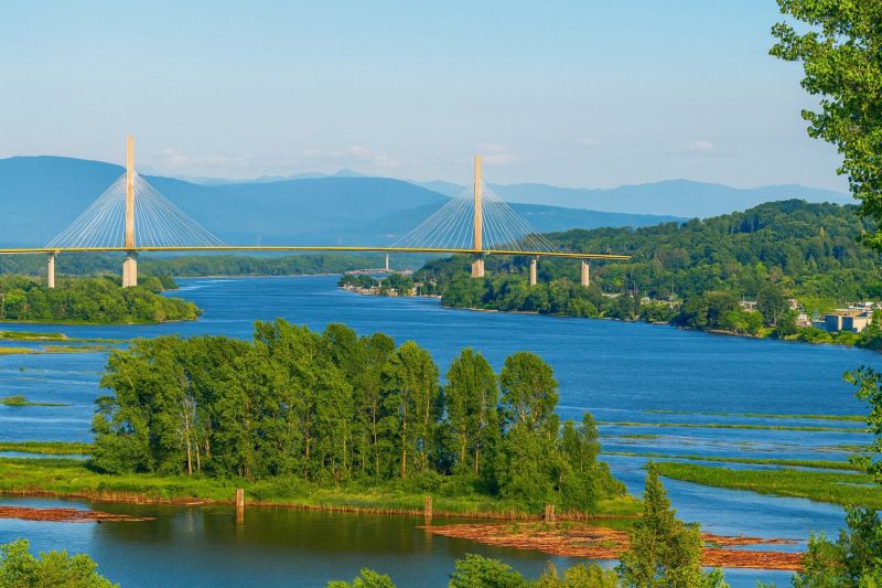 Local Damaged Roof Replacement in Fraser, MI