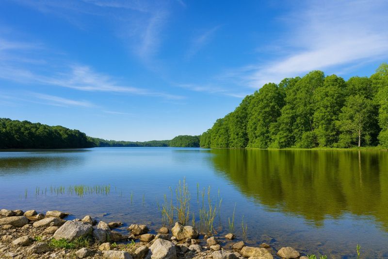 Local Residential Roof Replacement in Burke, VA
