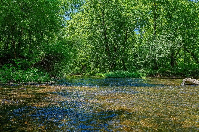 Local Residential Roof Replacement in Smyrna, TN