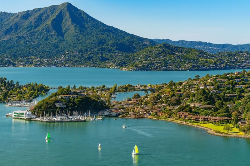 Local Roof Leak Detection Service in Belvedere Tiburon, CA