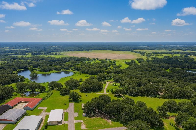 Local Roof Leak Detection Service in Dover, FL