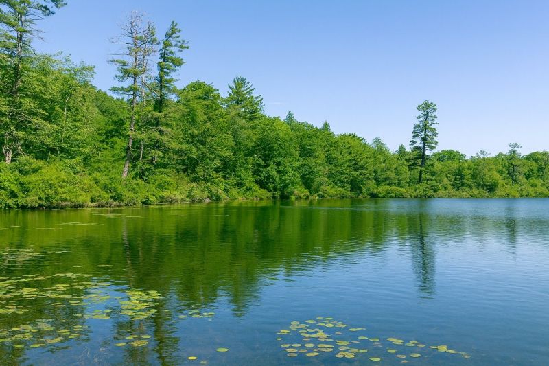 Local Roof Service in Lake Ariel, PA