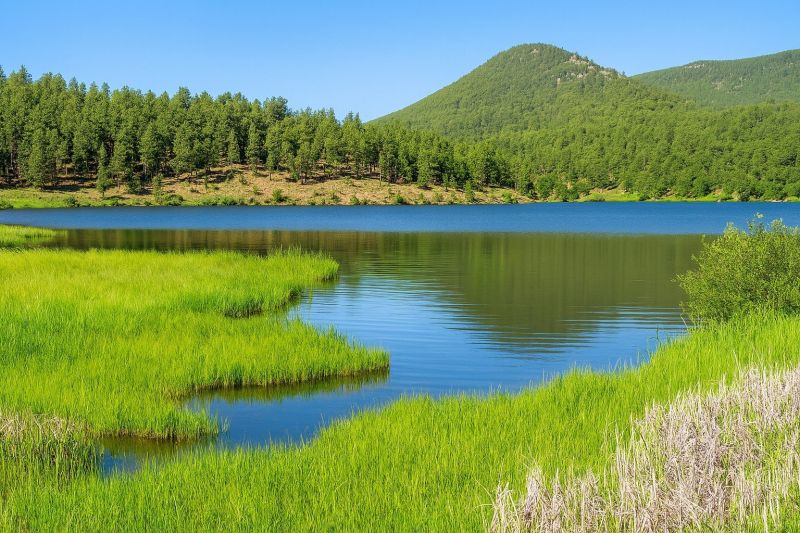 Local Roof Service in Evergreen, CO