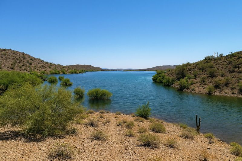 Local Roof Service in New River, AZ