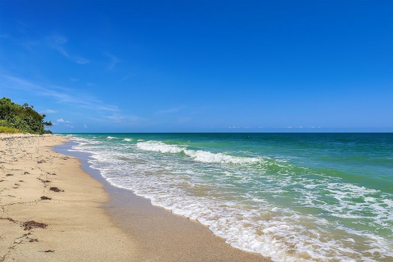 Local Shingle Repair in Dunedin, FL