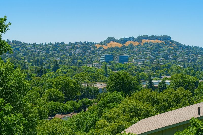 Local Slate Roof Repair in Castro Valley, CA